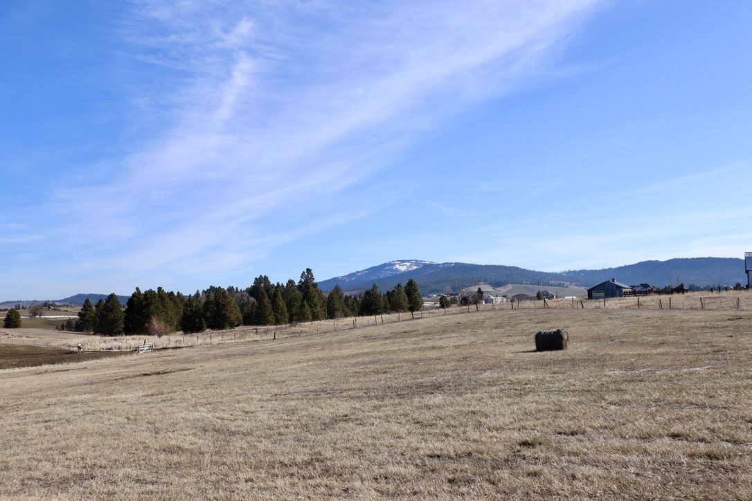 13907 South Madison Road Valleyford, WA 99036 - Photo 15 of 19