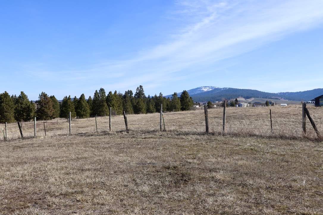 13907 South Madison Road Valleyford, WA 99036 - Photo 18 of 19