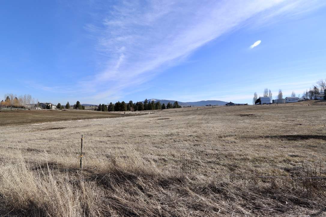 13907 South Madison Road Valleyford, WA 99036 - Photo 3 of 19