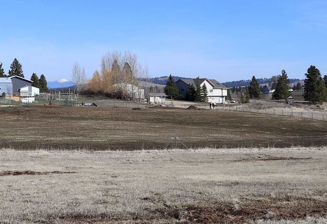 13907 South Madison Road Valleyford, WA 99036 - Photo 6 of 19