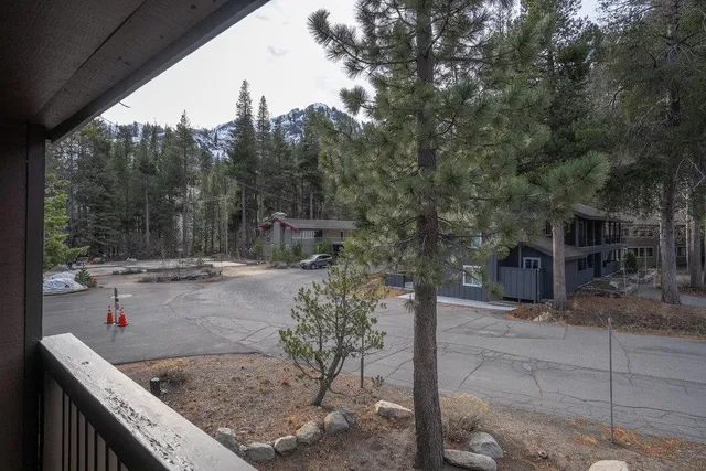 a view of a swimming pool with a patio and trees