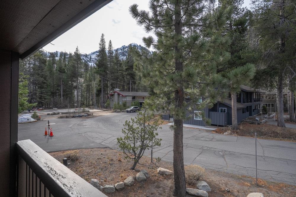 440 Shirley Cyn Road, Unit 50 Olympic Valley, CA 96146 - Photo 22 of 28 a view of a swimming pool with a patio and trees