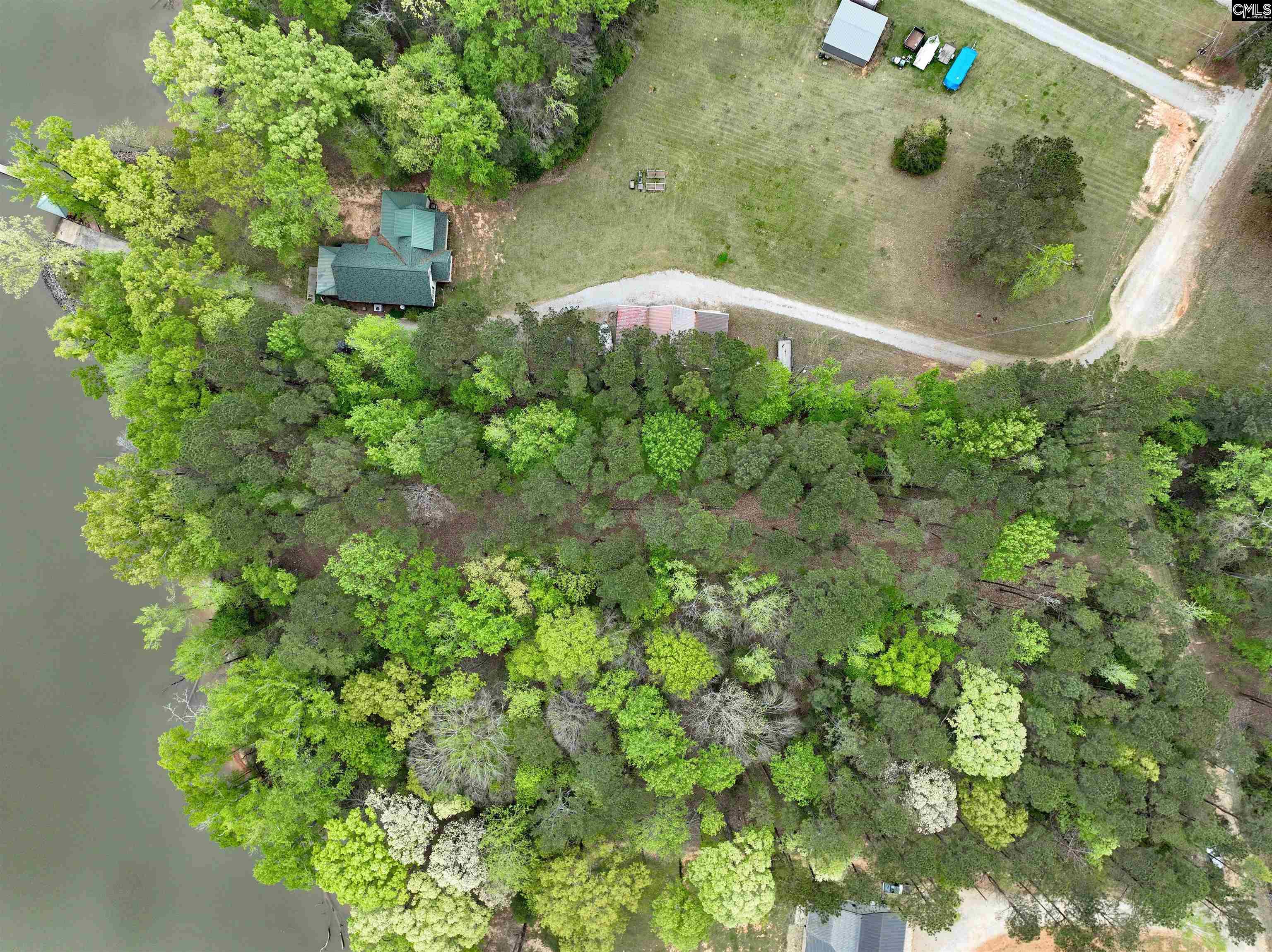 Tbd Fannie Black Road Prosperity, SC 29127 - Photo 7 of 28
