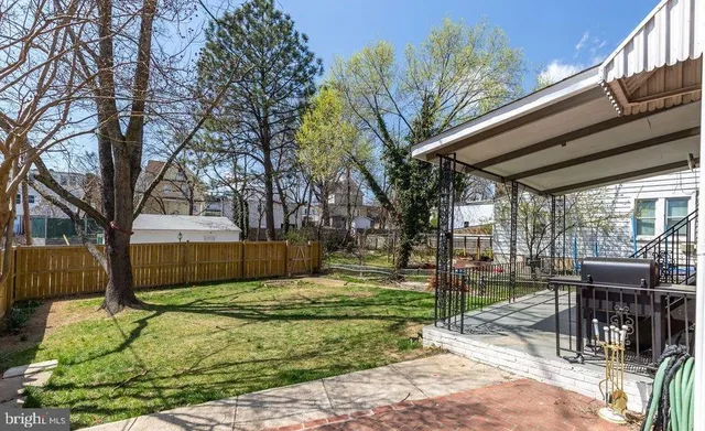 a view of backyard with table and chairs and a large tree