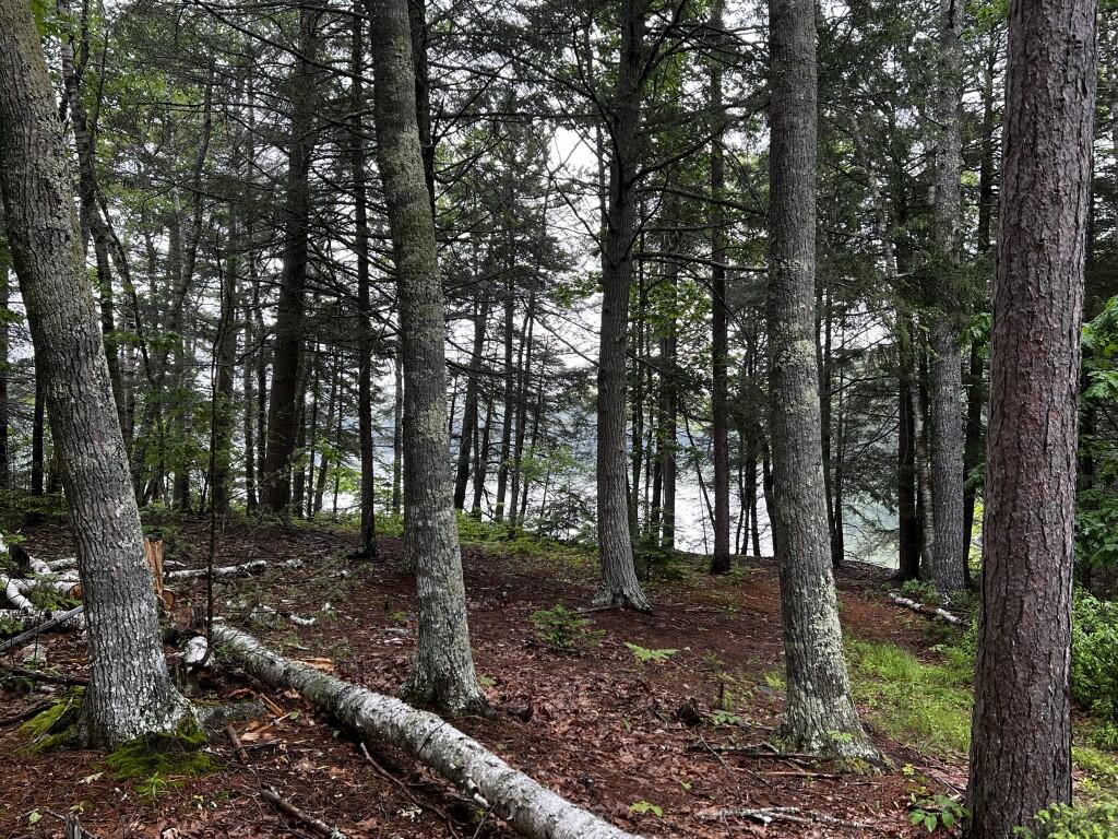 0 Ardan Road Boothbay, ME 04537 - Photo 4 of 9 IMG_0110