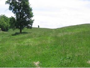 0 Mae Mckee Road, Unit 48 Greeneville, TN 37745 - Photo 3 of 7 Photo 3