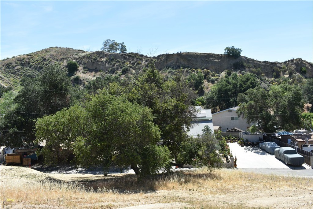 0 Val Verde Road Val Verde, CA 91384 - Photo 11 of 24 a view of a yard
