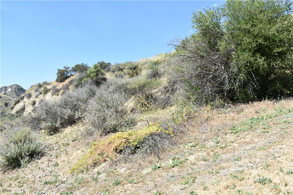 0 Val Verde Road Val Verde, CA 91384 - Photo 17 of 24 a view of a snow on the snow