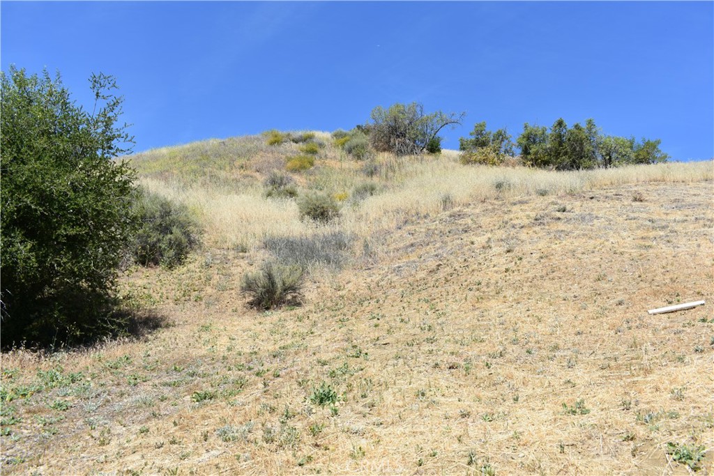 0 Val Verde Road Val Verde, CA 91384 - Photo 19 of 24 a view of a dry yard with trees