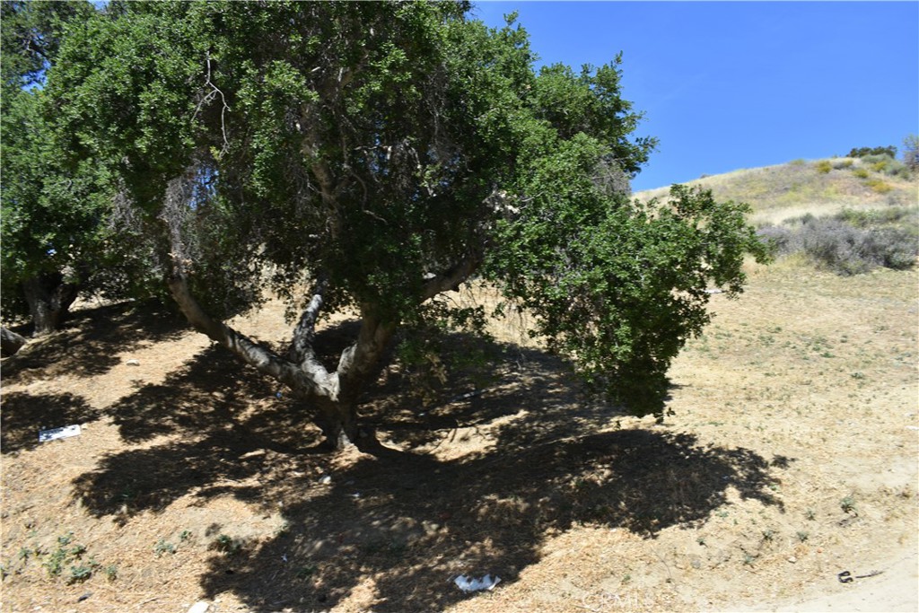0 Val Verde Road Val Verde, CA 91384 - Photo 20 of 24 a view of a tree