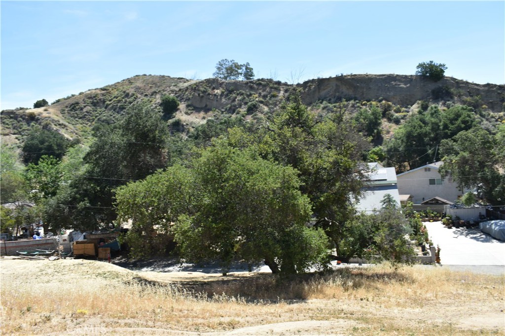 0 Val Verde Road Val Verde, CA 91384 - Photo 10 of 24 a view of a yard with a tree