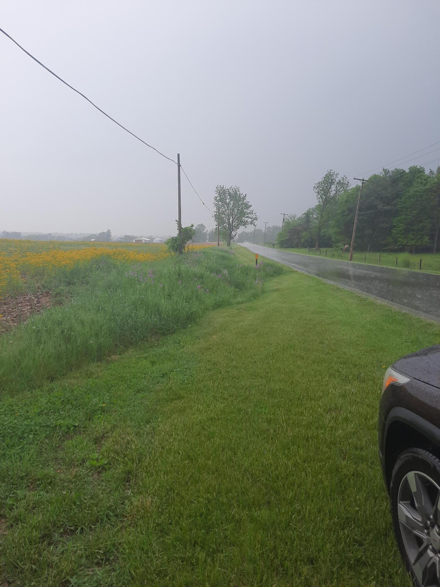 3125 County Road 9 Edison, OH 43320 - Photo 2 of 4 This phot is facing North frontage is roughly 31 feet of the flag lot with an 1800 ft driveway to the parcel.