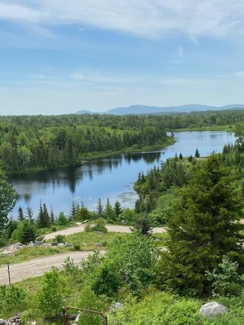 148 Emerson Preble Road Sullivan, ME 04664 - Photo 21 of 23 21_OLDMILL