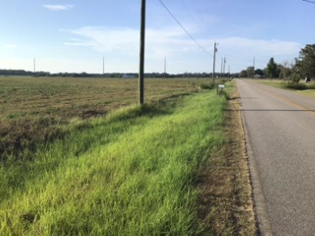 Lot 8 Hamilton Boulevard Foley, AL 36535 - Photo 2 of 5