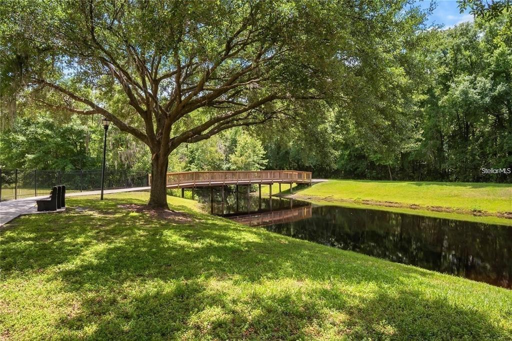 4021 Lithia Ridge Boulevard Valrico, FL 33596 - Photo 48 of 48