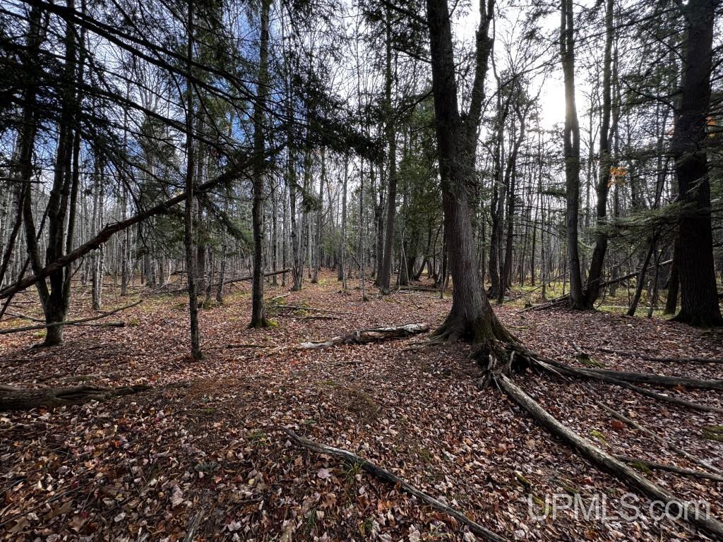 Tbd Skanee Road Skanee, MI 49962 - Photo 9 of 24 Gallery Image 9