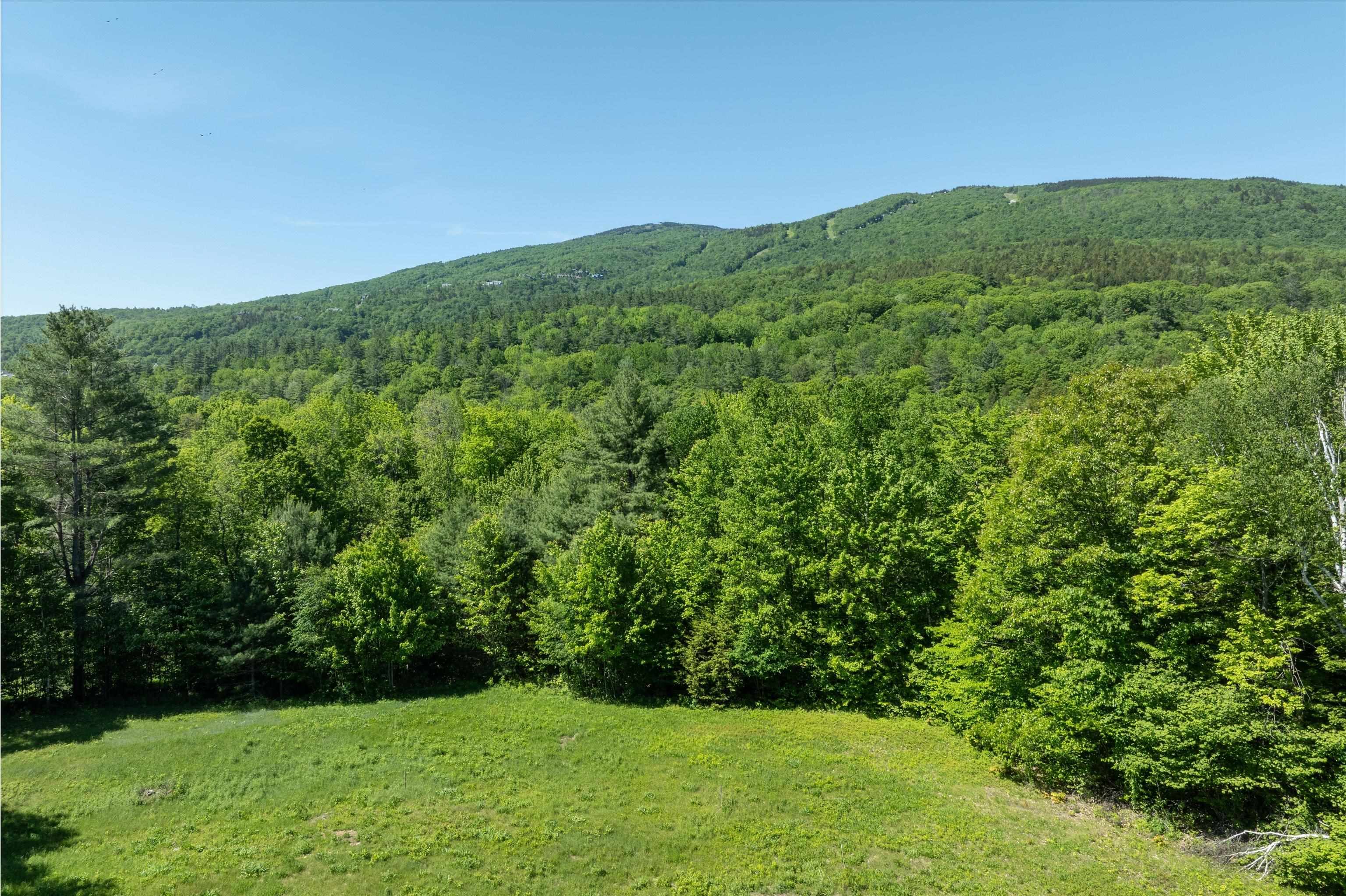 0 Rod And Gun Club Road, Unit 9 Ludlow, VT 05149 - Photo 9 of 25