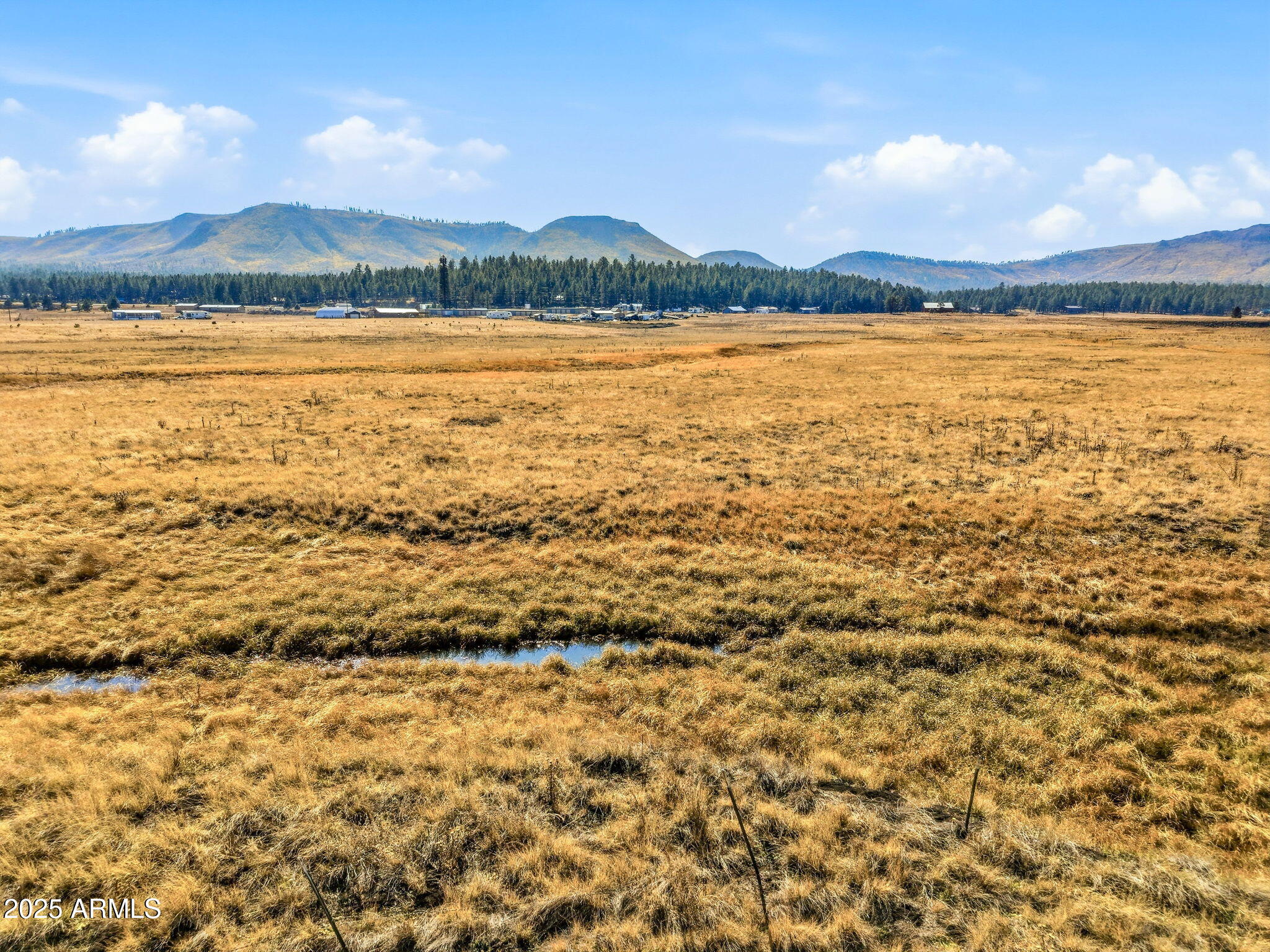 Lot 23 The Ranch, Unit 23 Alpine, AZ 85920 - Photo 11 of 20 a view of an ocean and a mountain