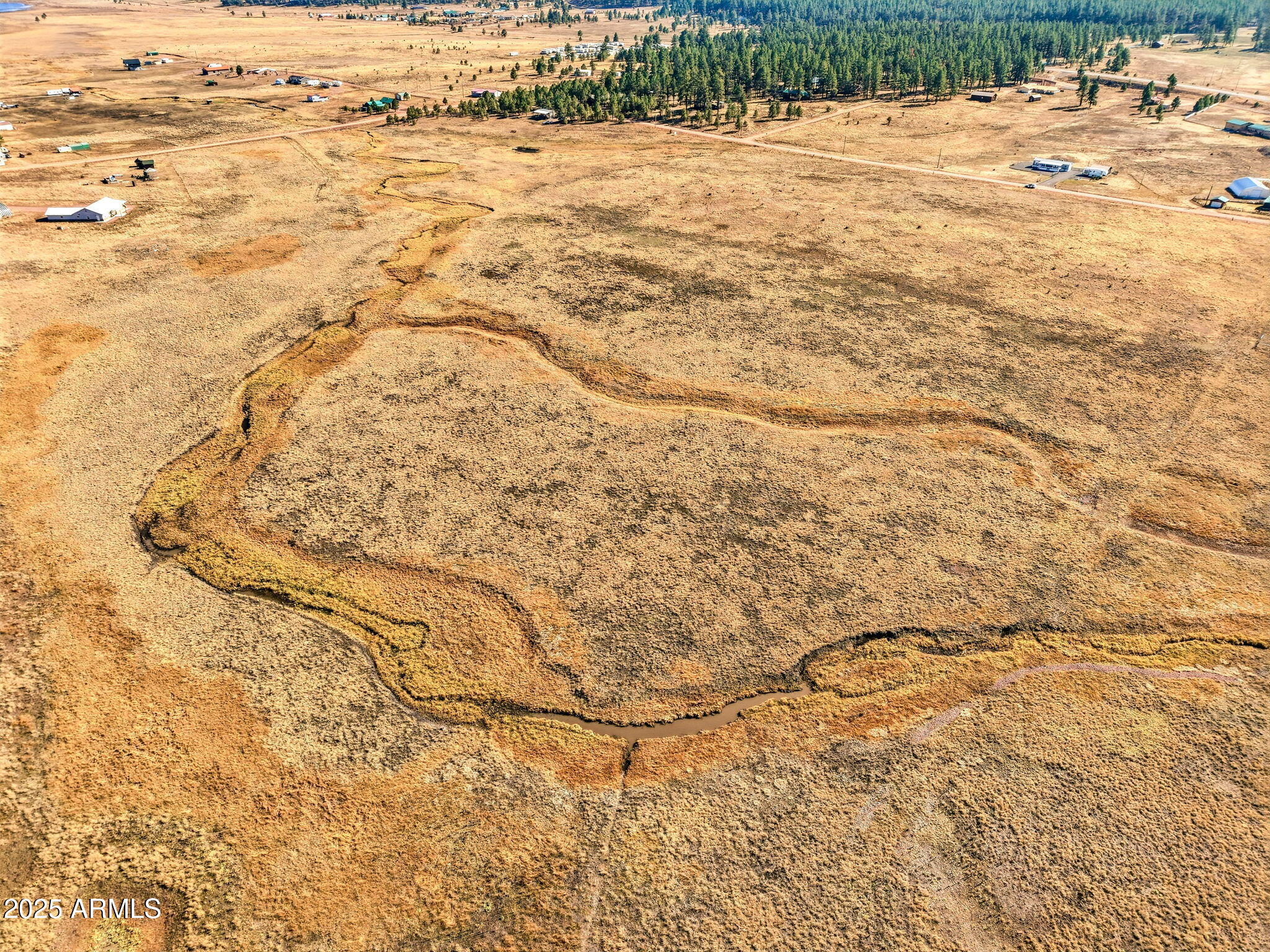 Lot 23 The Ranch, Unit 23 Alpine, AZ 85920 - Photo 5 of 20 a view of yard