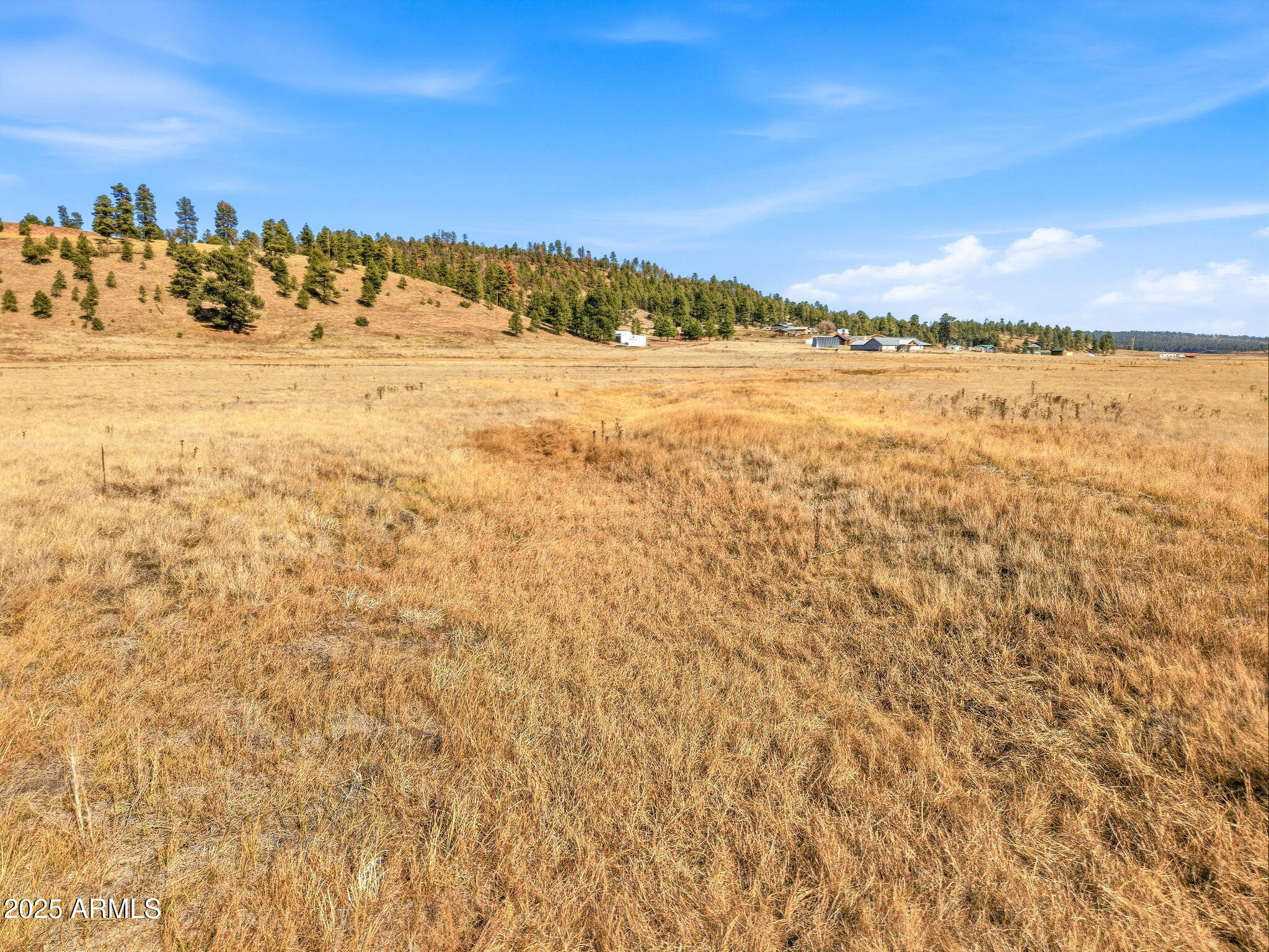 Lot 23 The Ranch, Unit 23 Alpine, AZ 85920 - Photo 8 of 20 a view of an ocean beach