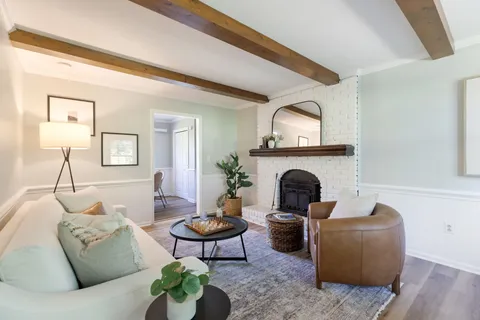 a living room with furniture or couch and a potted plant
