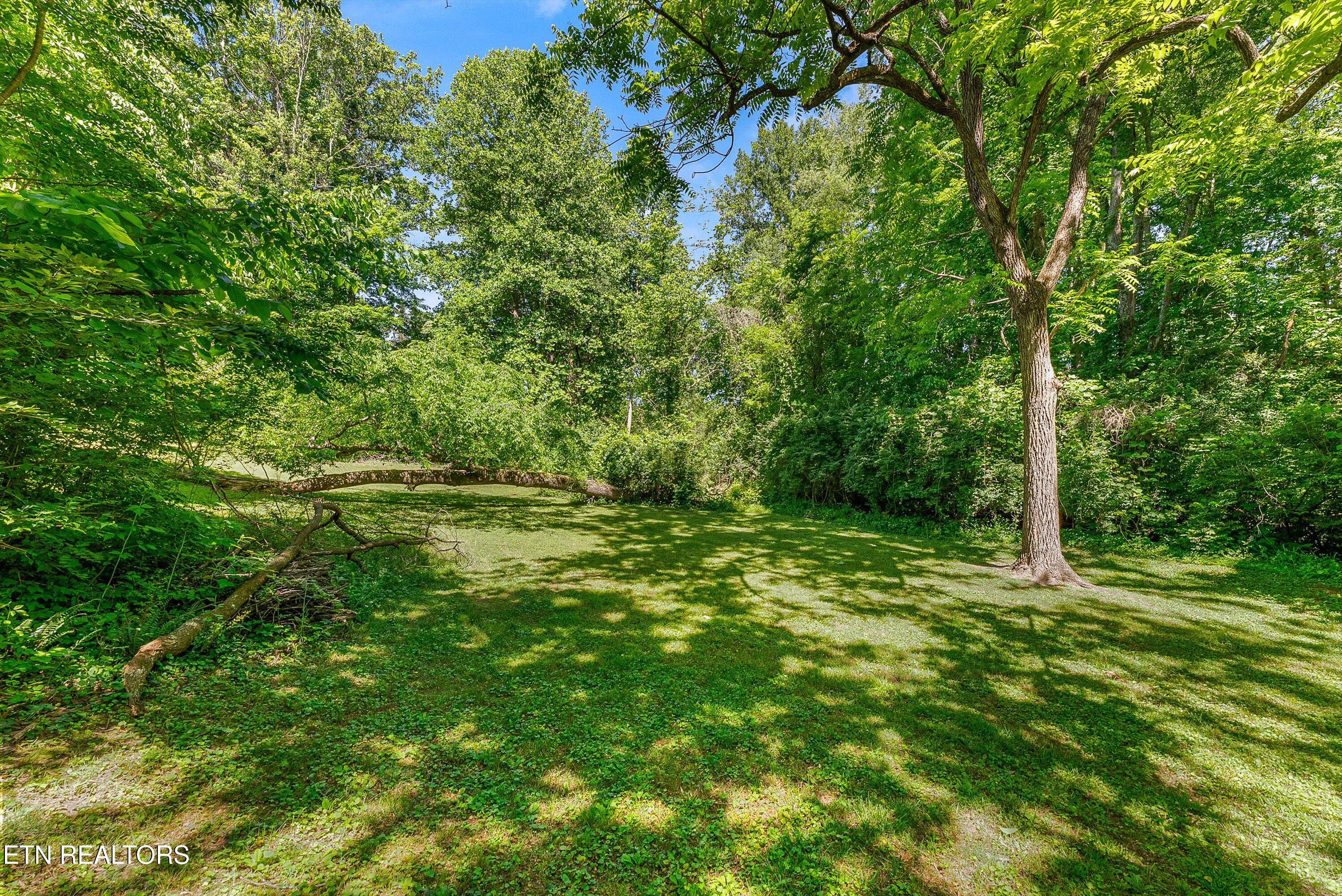 103 Loyola Lane Oak Ridge, TN 37830 - Photo 32 of 36 33-Backyard A3