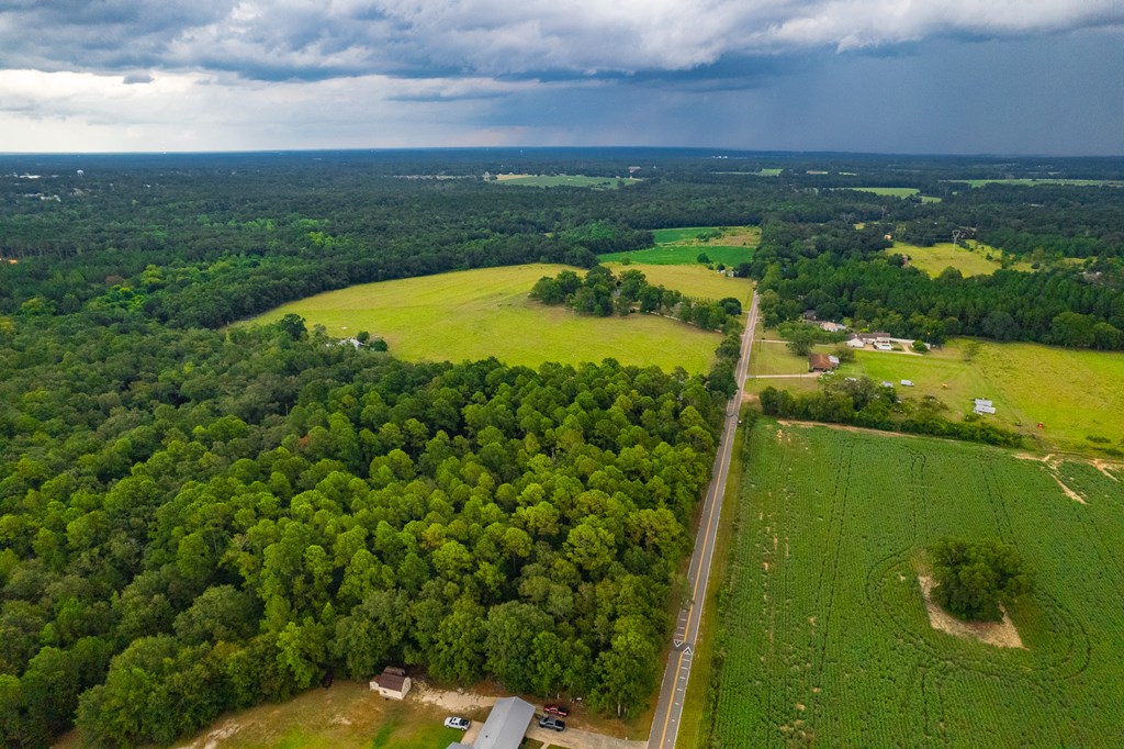 0 East Wayne Road Dothan, AL 36301 - Photo 4 of 18