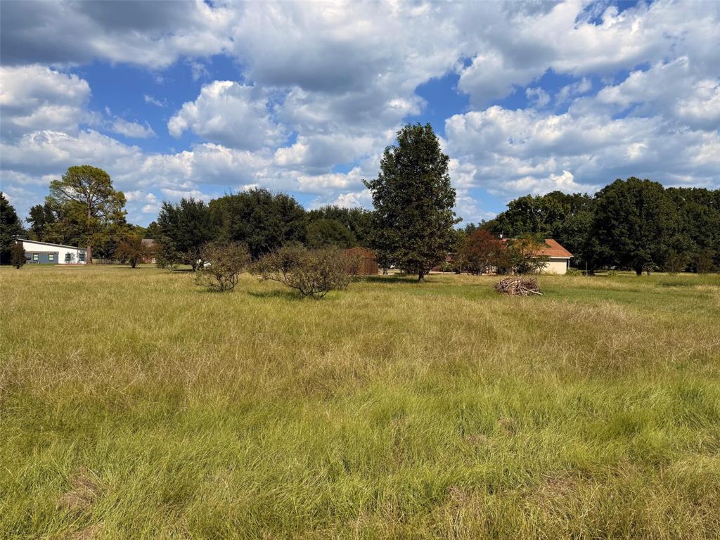 Tbd Diamond T Ranch Road Trinidad, TX 75163 - Photo 2 of 6