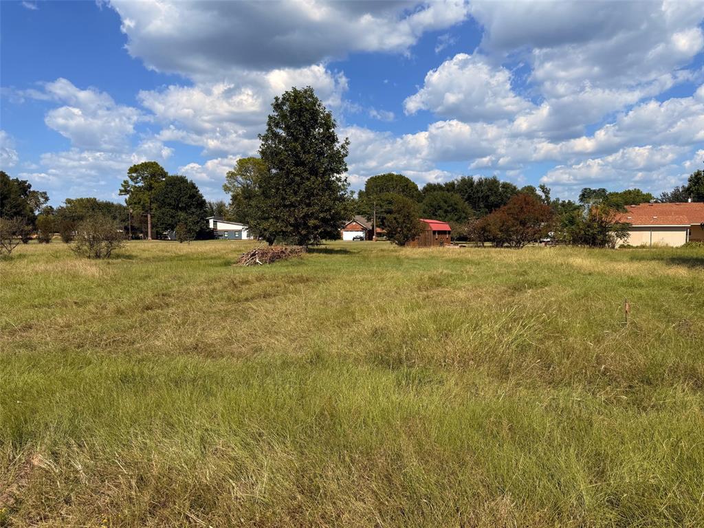 Tbd Diamond T Ranch Road Trinidad, TX 75163 - Photo 4 of 6