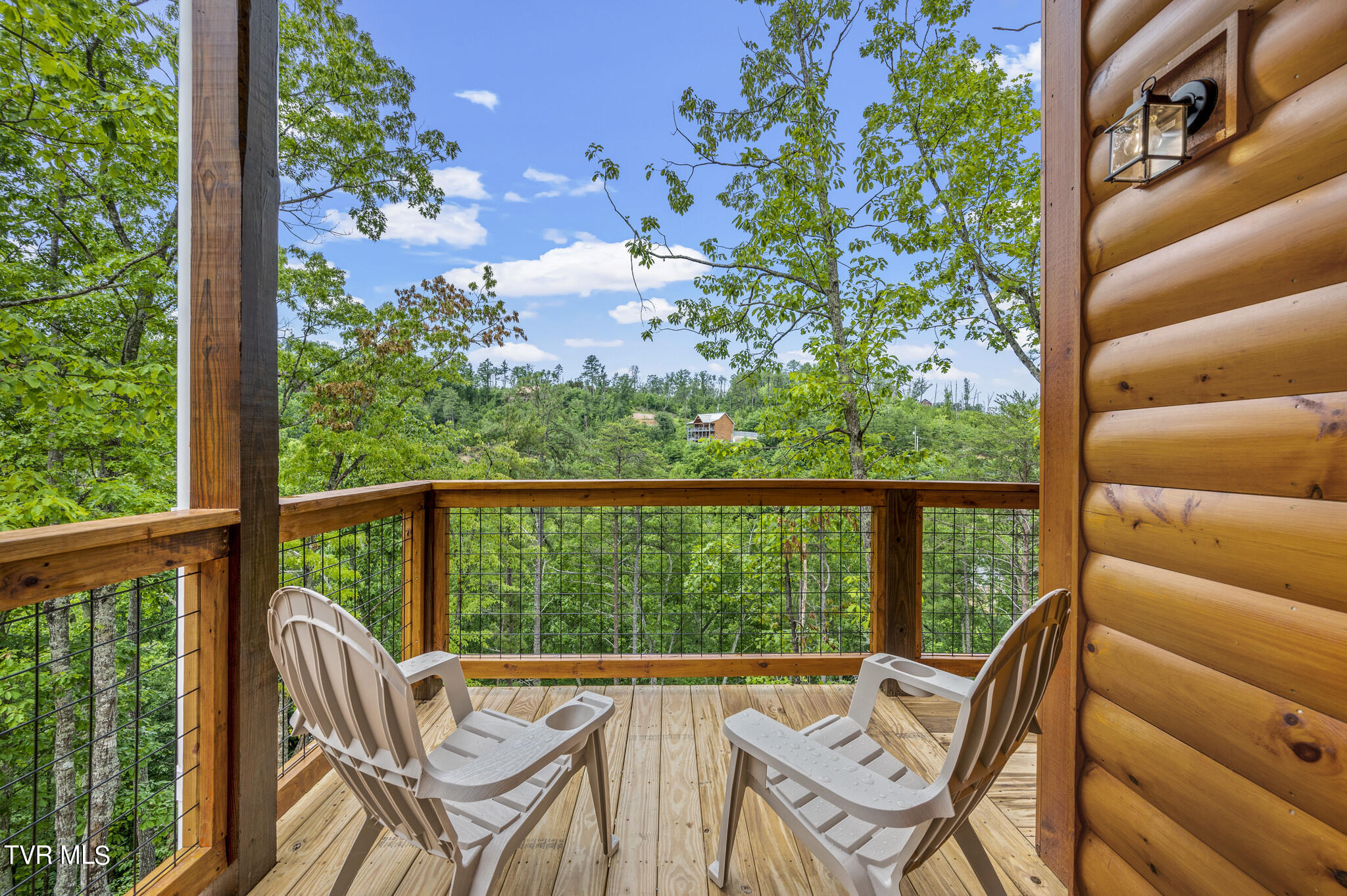 1864 Blue Tick Way Sevierville, TN 37876 - Photo 4 of 35 JCM_3646