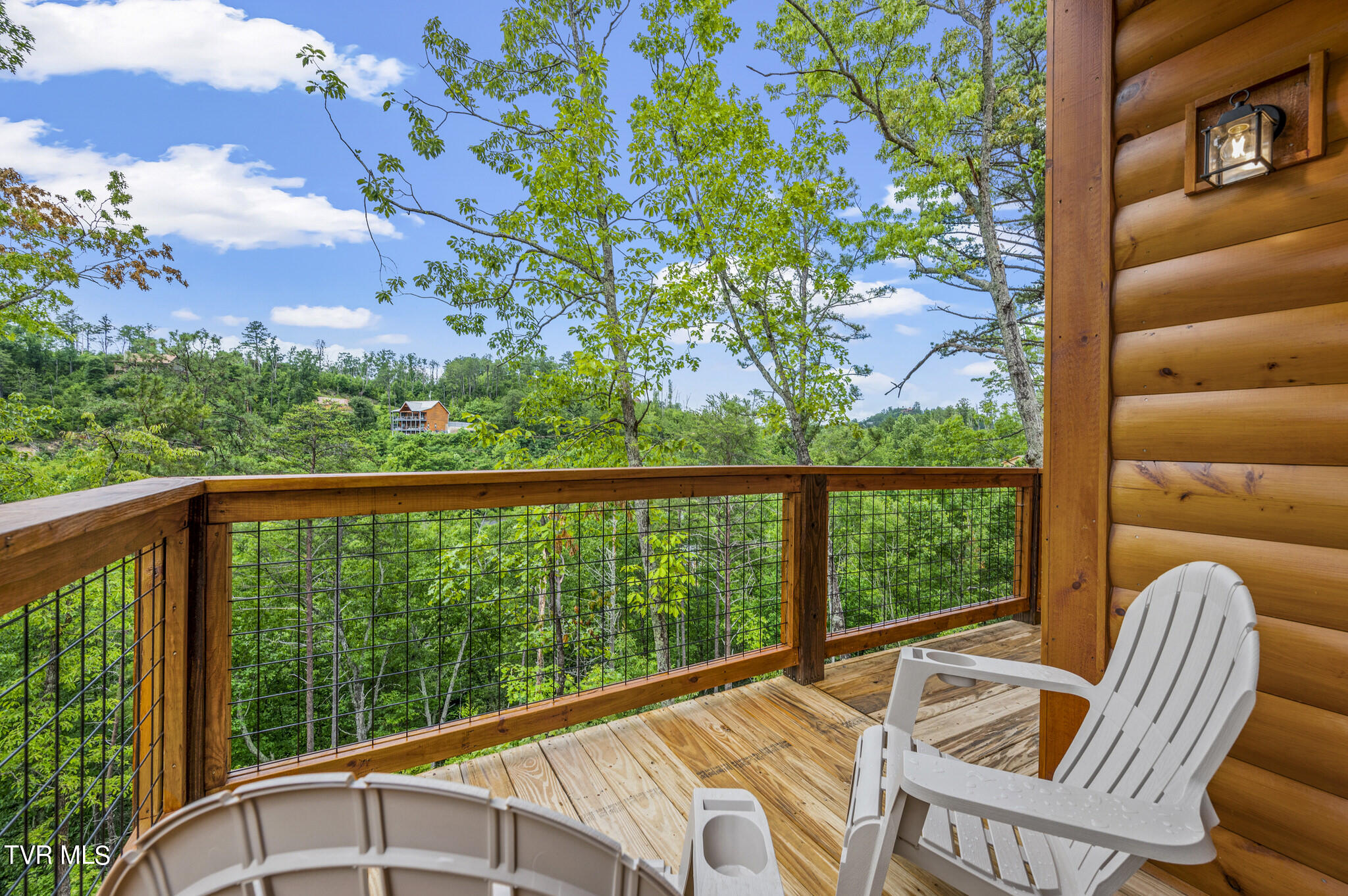 1864 Blue Tick Way Sevierville, TN 37876 - Photo 5 of 35 JCM_3652 - Copy
