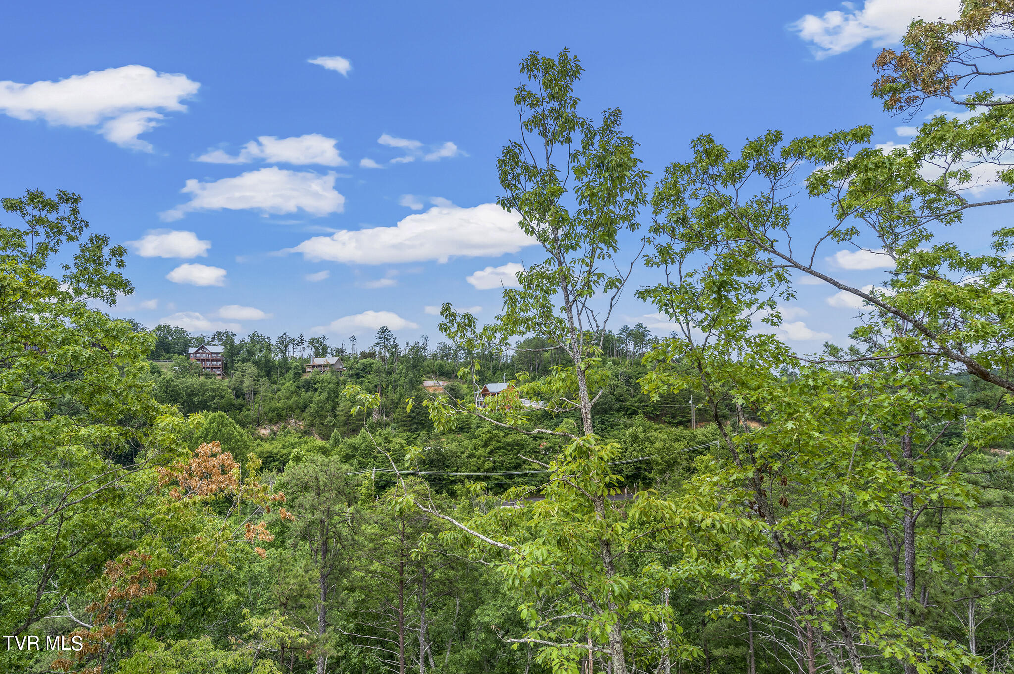 1864 Blue Tick Way Sevierville, TN 37876 - Photo 6 of 35 JCM_3639 - Copy
