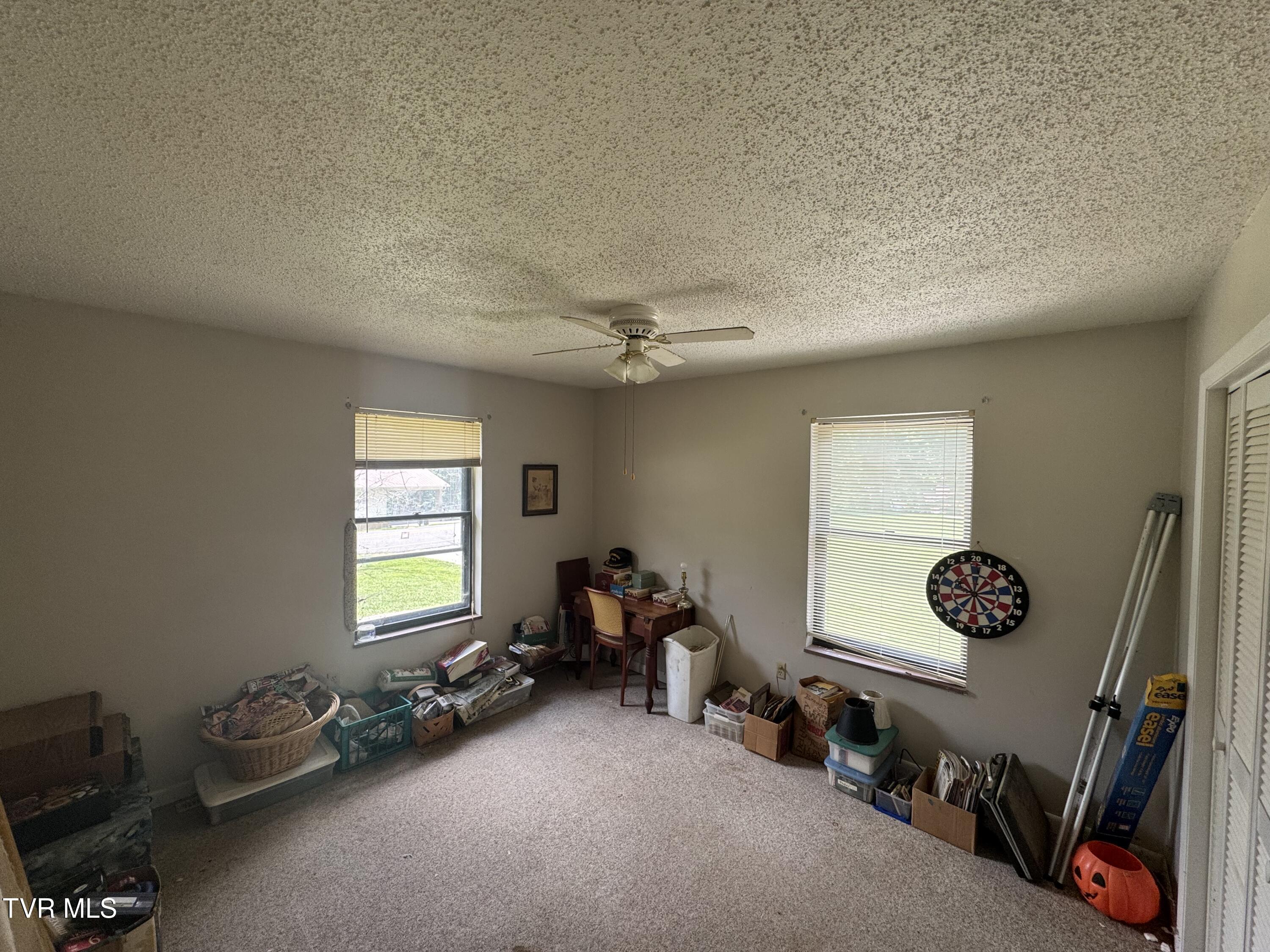 732 Greenbriar Road Talbott, TN 37877 - Photo 16 of 21 IMG_6299