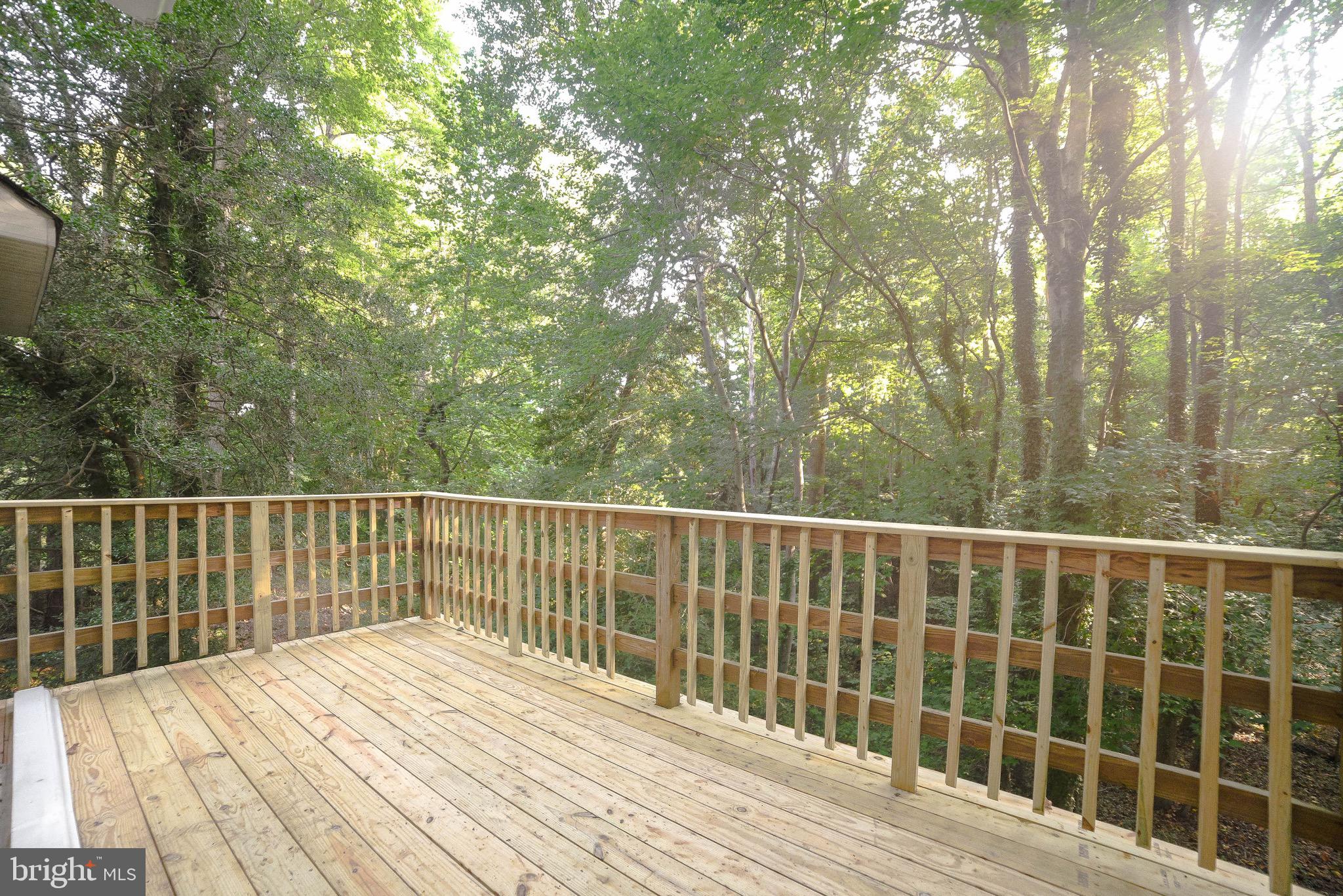14814 Point Lookout Road St. Inigoes, MD 20684 - Photo 46 of 59 Enjoy nature on your new deck!