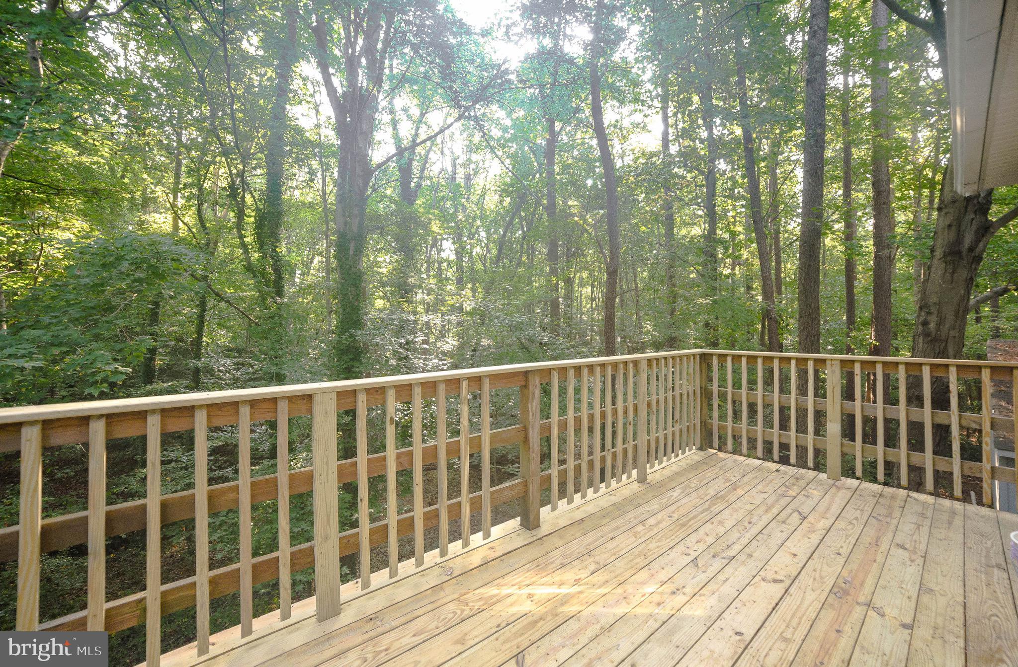 14814 Point Lookout Road St. Inigoes, MD 20684 - Photo 47 of 59 Trees and privacy all around