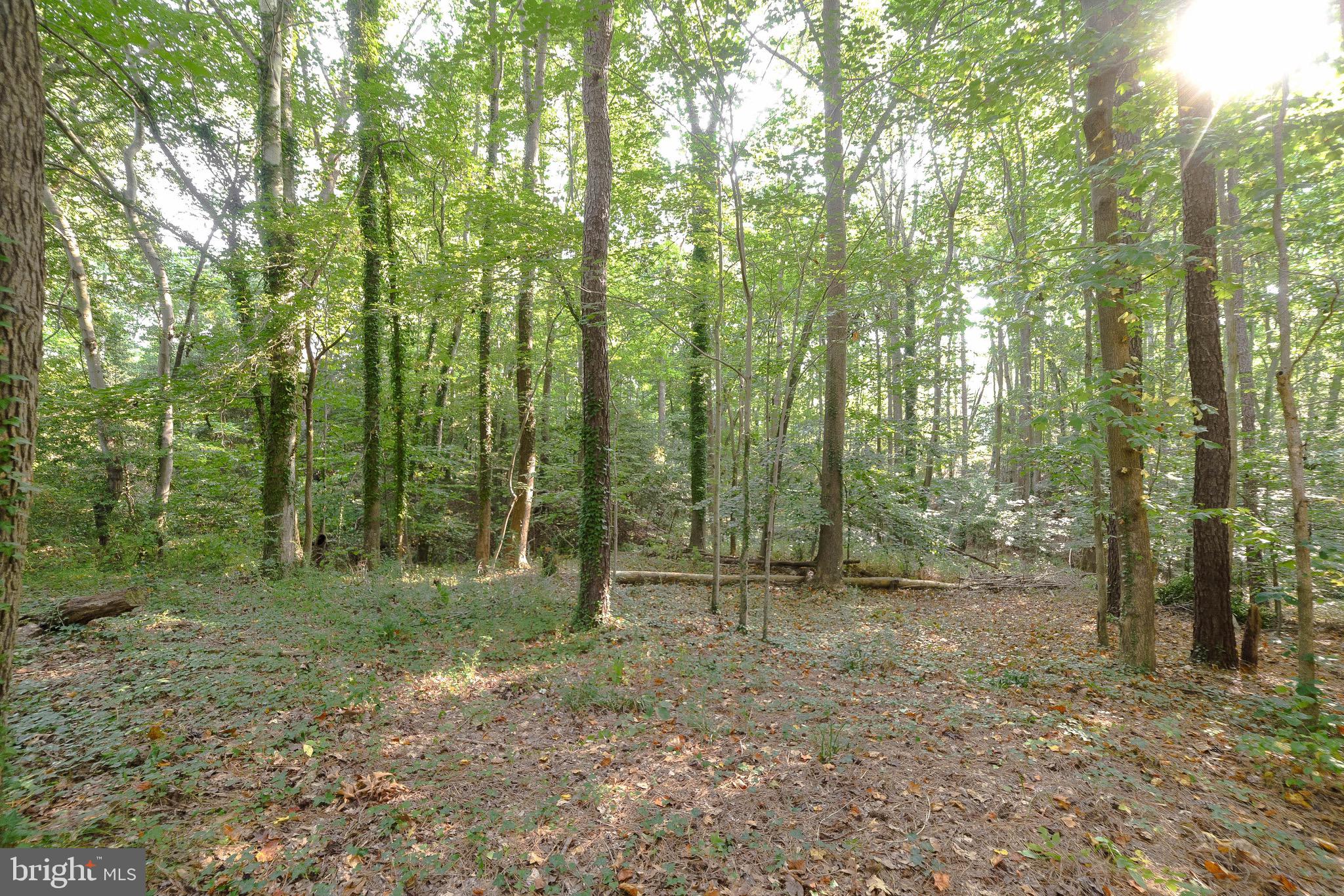 14814 Point Lookout Road St. Inigoes, MD 20684 - Photo 50 of 59 Rear of home