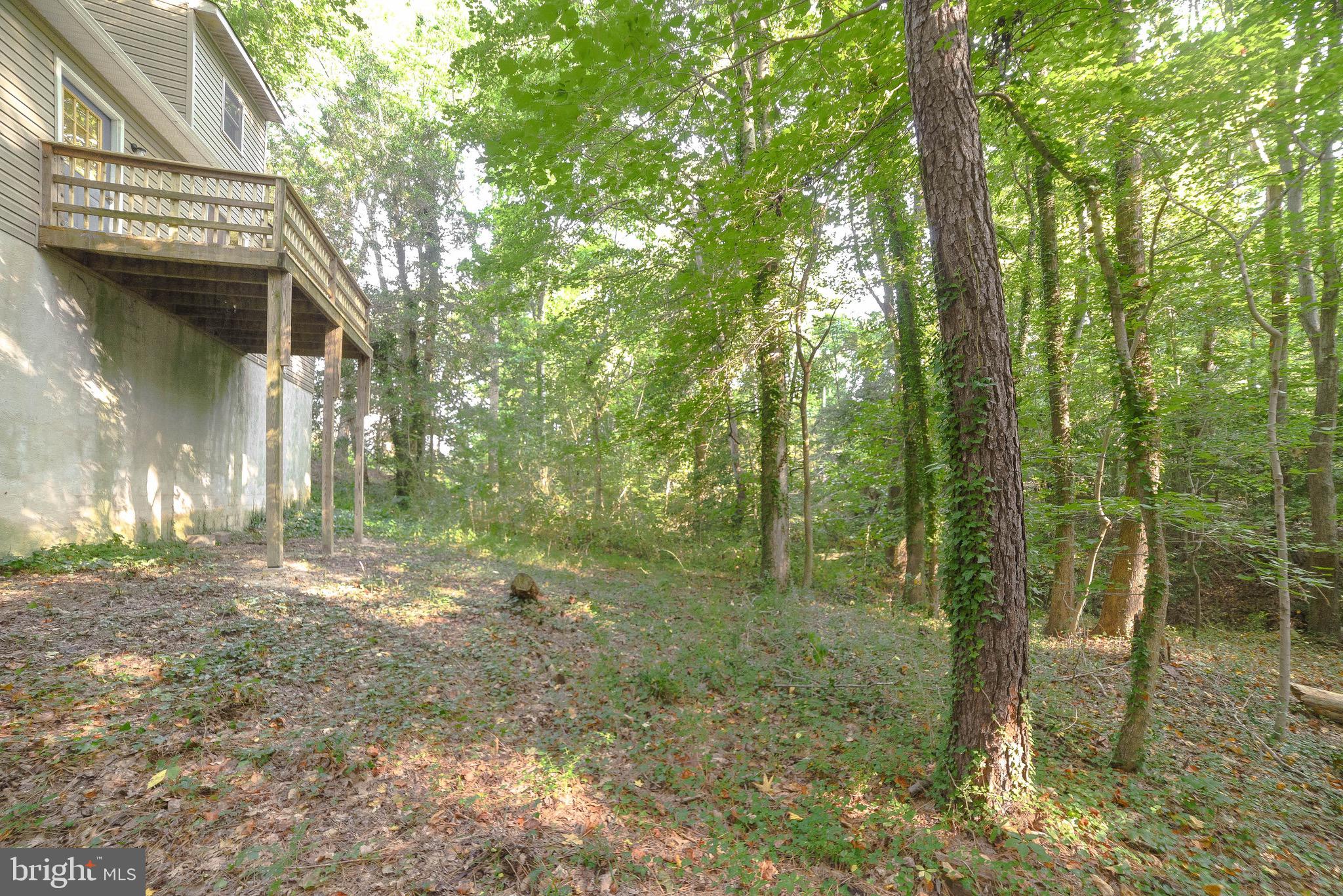 14814 Point Lookout Road St. Inigoes, MD 20684 - Photo 51 of 59 Rear yard