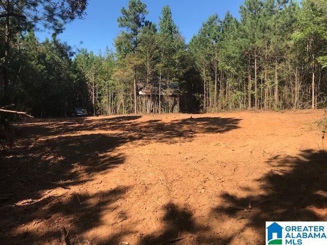 787 Bluff Valley Road, Unit 41 AC Cragford, AL 36255 - Photo 7 of 8