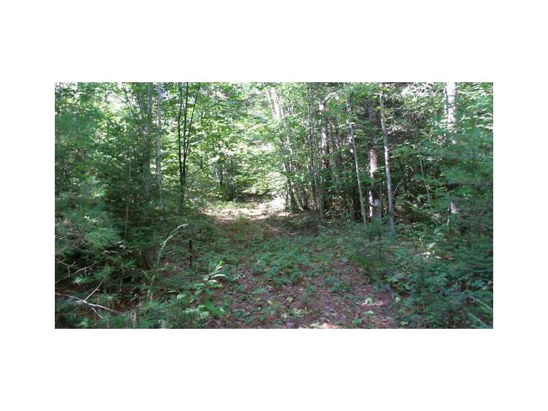 81 Tobin Flat Road Wilton, ME 04294 - Photo 4 of 14 Land/Lot.
