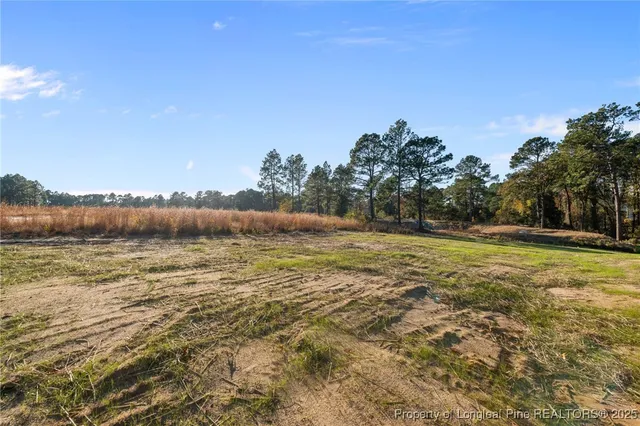 $409,500 | 183 Mahogany Court, Cameron, NC 28326