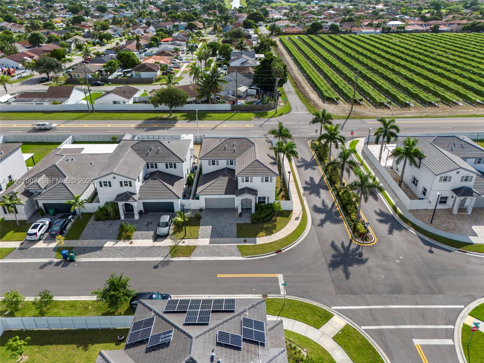 21189 Southwest 127th Court Miami, FL 33177 - Photo 42 of 46 an aerial view of a swimming pool with lawn chairs and plants
