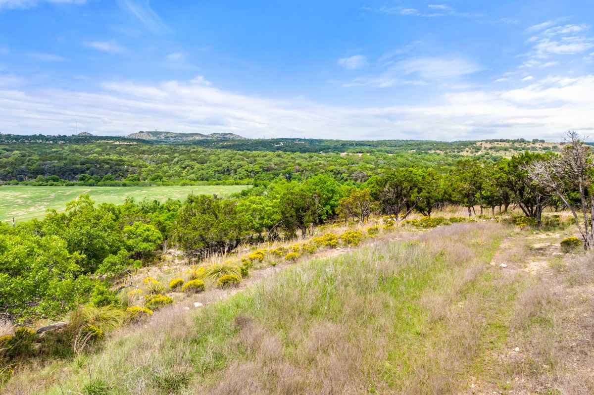 17 September Ridge Johnson City, TX 78636 - Photo 21 of 40 View of woods