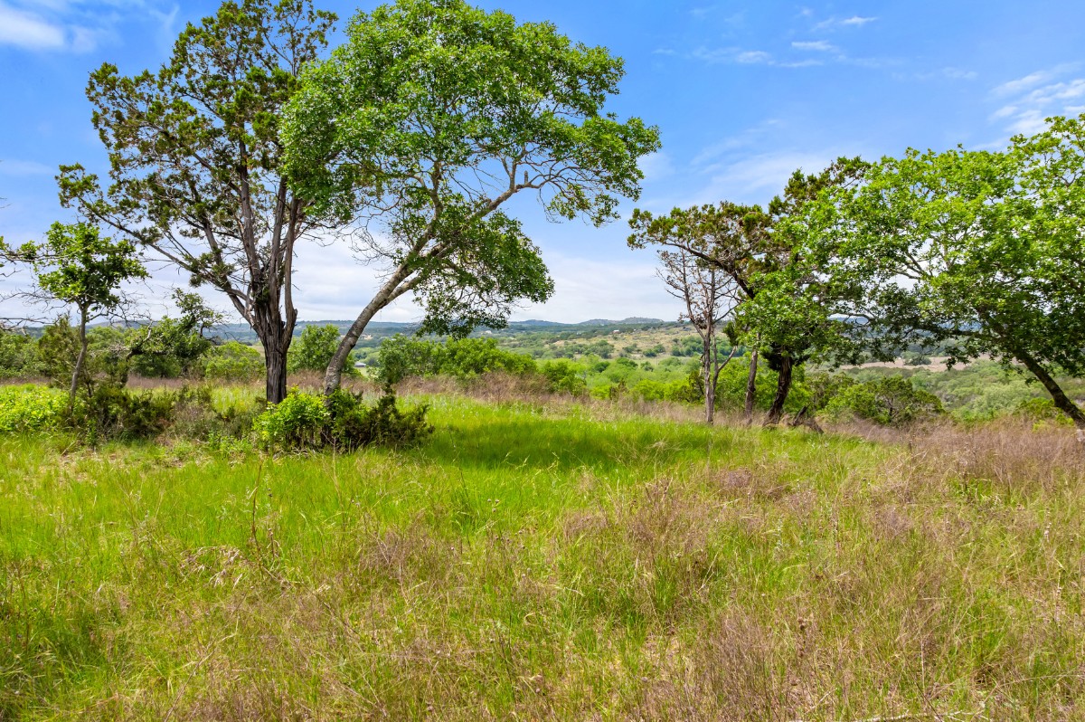 17 September Ridge Johnson City, TX 78636 - Photo 33 of 40 View of local wilderness