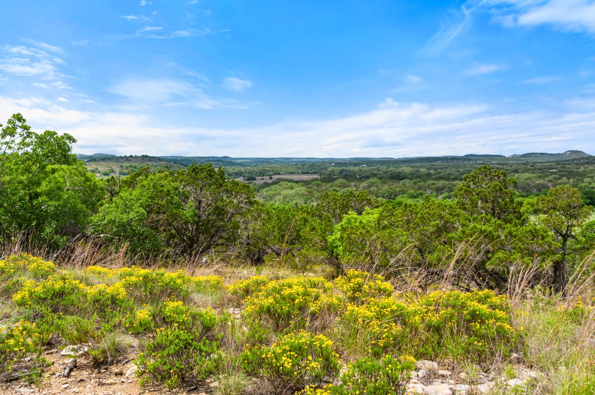 17 September Ridge Johnson City, TX 78636 - Photo 35 of 40 View of woods
