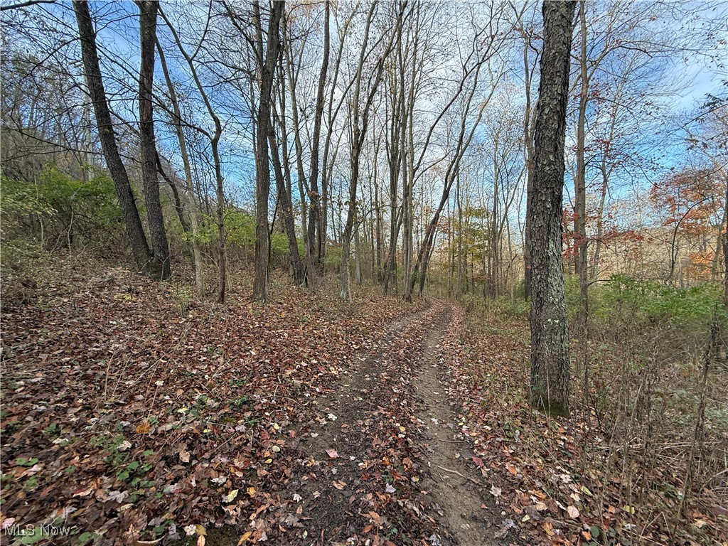 Jewett Scio Road Jewett, OH 43986 - Photo 14 of 21 Gallery Image 14