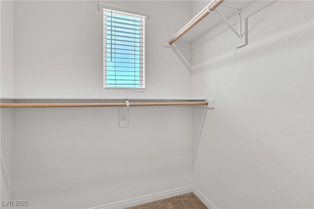 6952 Crescent Gold Street North Las Vegas, NV 89086 - Photo 38 of 58 Walk in closet featuring carpet flooring