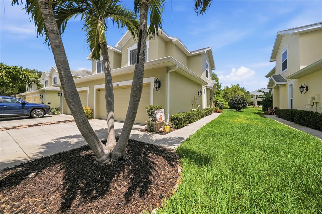 497 Harbor Ridge Drive Palm Harbor, FL 34683 - Photo 5 of 52