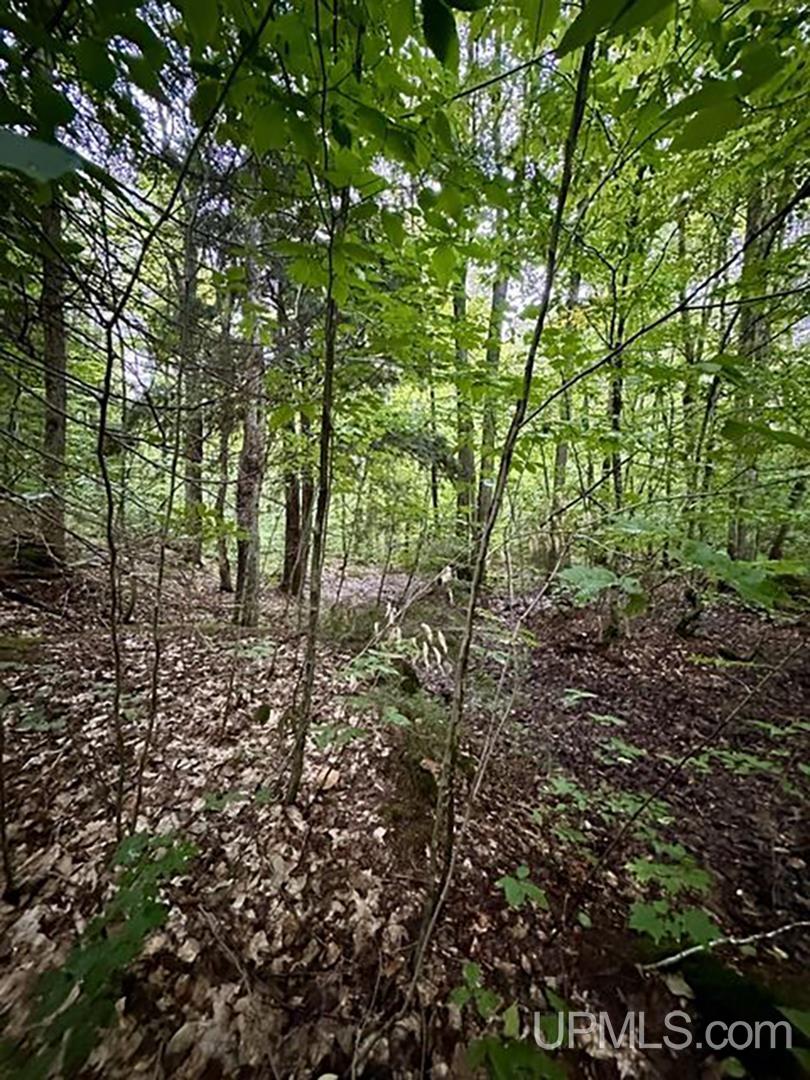 20442 Pinewood Road Newberry, MI 49868 - Photo 2 of 6 Gallery Image 2