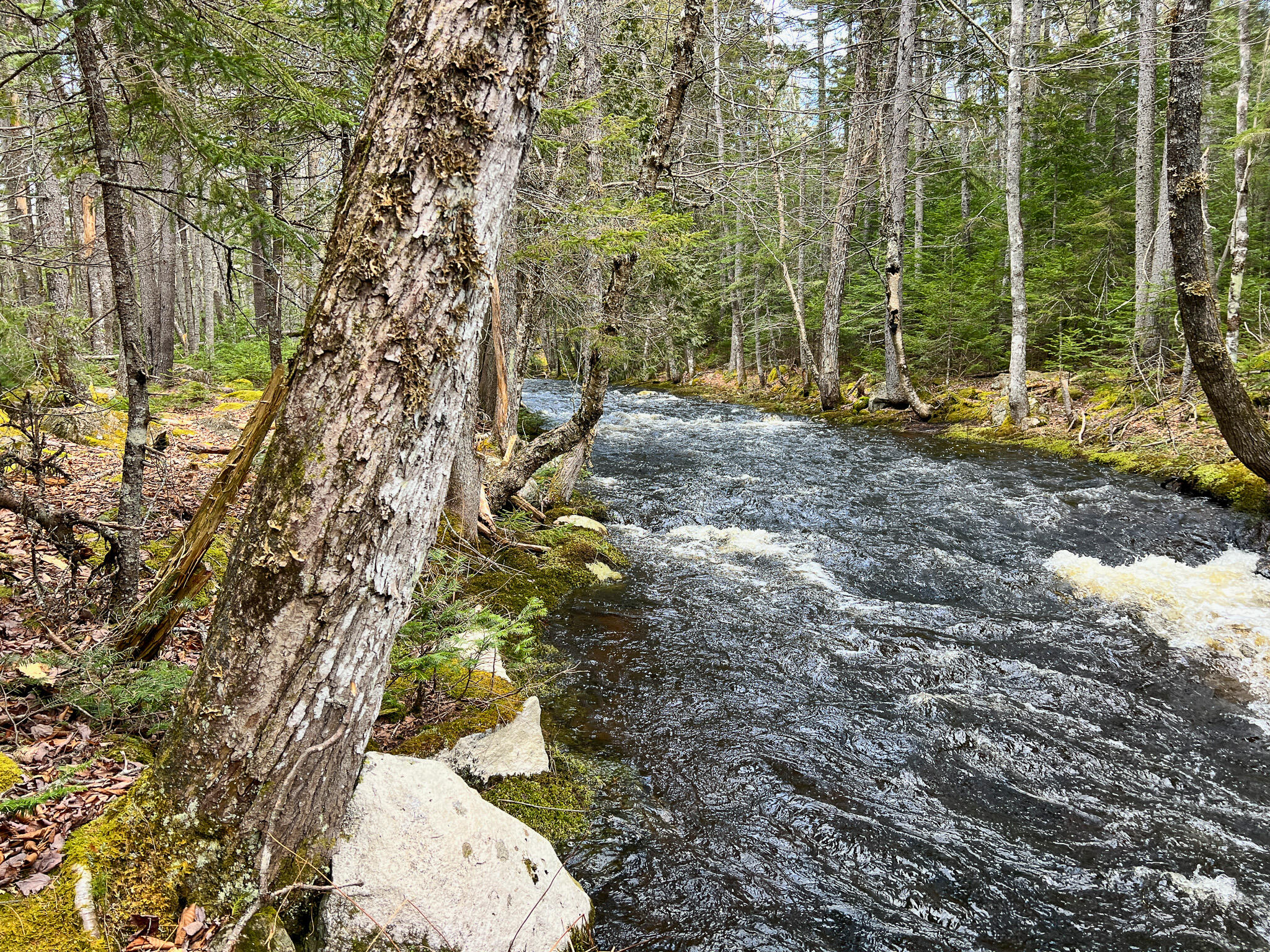 39 Farm Edge Road Sullivan, ME 04664 - Photo 8 of 17 8