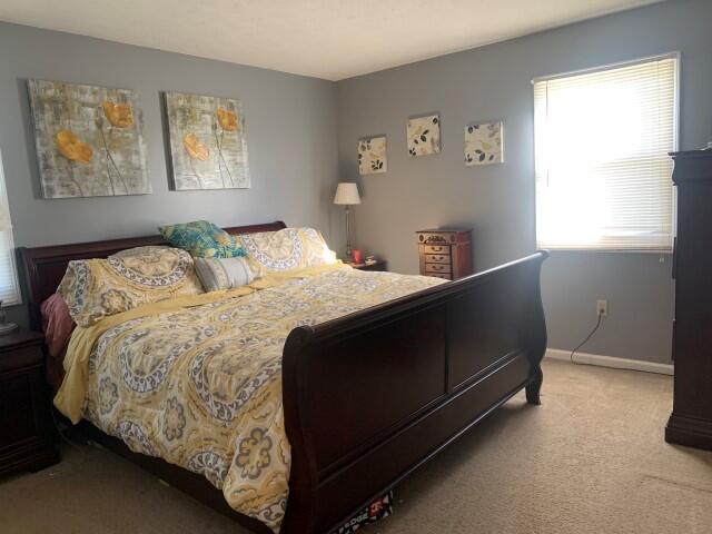 84 Wells Landing Road Danville, KY 40422 - Photo 19 of 25 IMG_2170